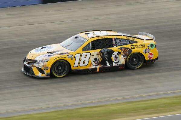 Kyle sales busch car